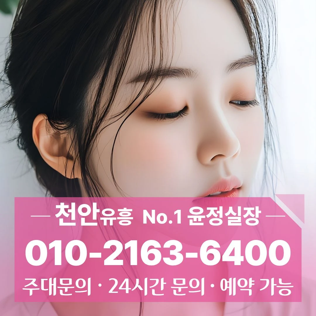 두정동하이퍼블릭 010 2163 6400 풍세면하이퍼블릭 문화동하이퍼블릭