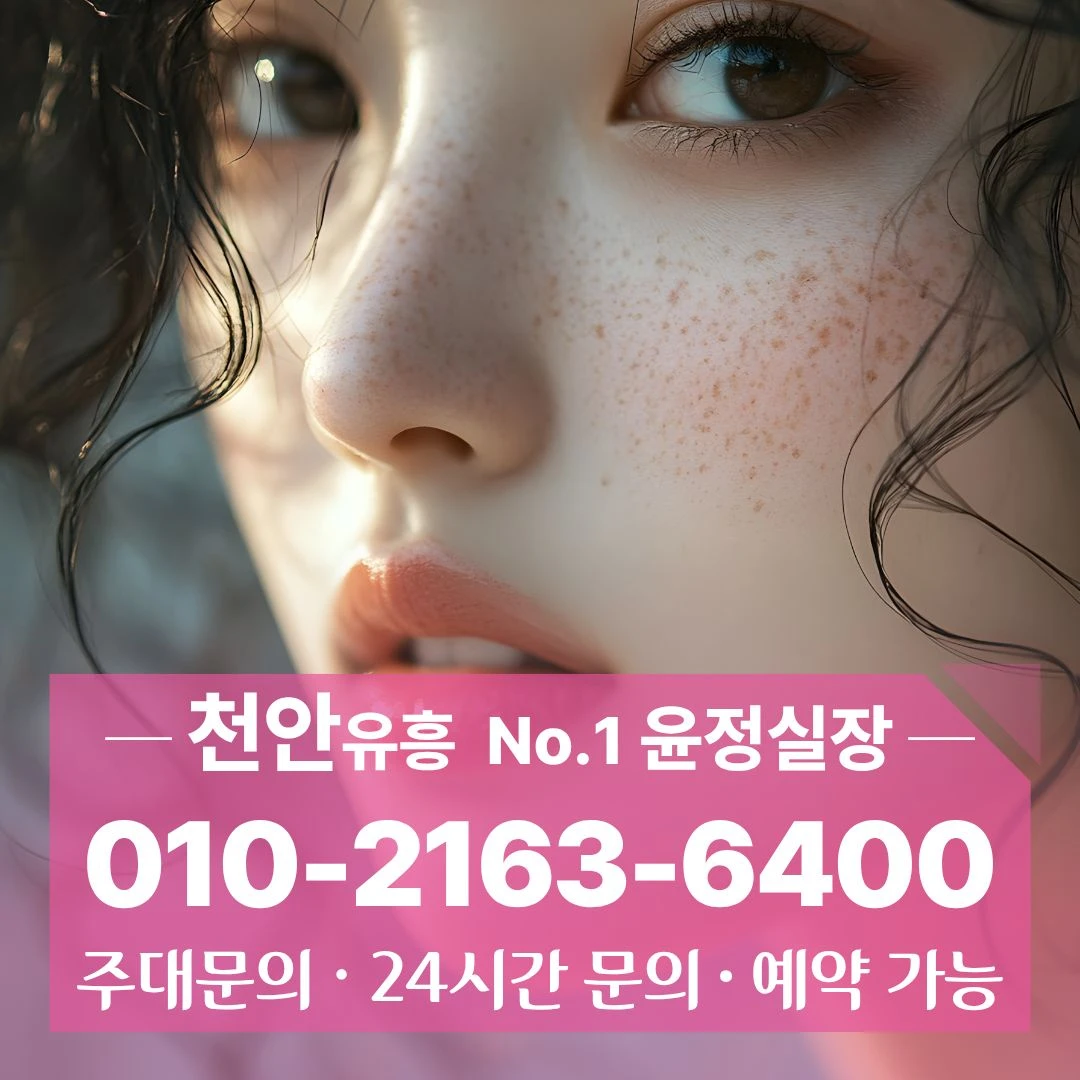 성정동퍼블릭 010 2163 6400 시설좋은 천안아산역노래빠 불당먹자노래주점 성정동풀싸롱 방문전정보