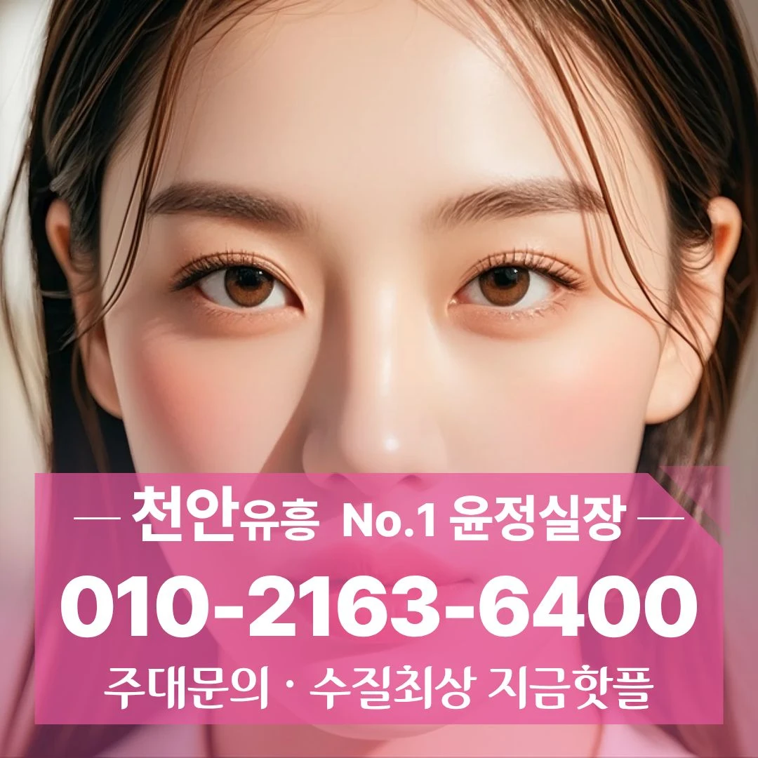 두정동쓰리노 [010 2163 6400] 용곡동셔츠 신안동노래주점 문성동셔츠 주대비교정보